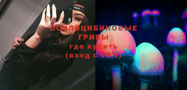 сатива Костерёво