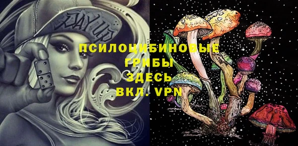 сатива Костерёво