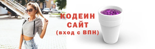 соль ск Коряжма