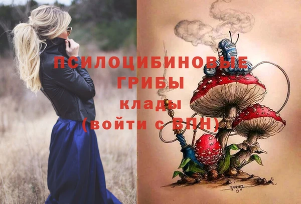 сатива Костерёво