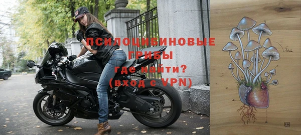 сатива Костерёво