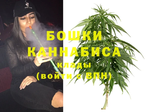 сатива Костерёво