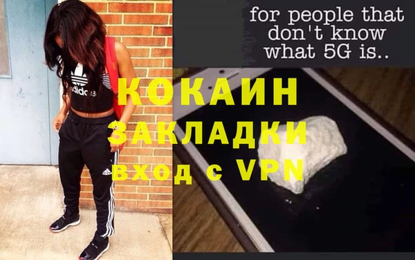 сатива Костерёво